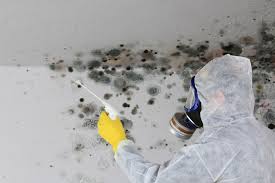 Biohazard Mold Removal in Germantown, WI